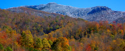 Frost on Mountains